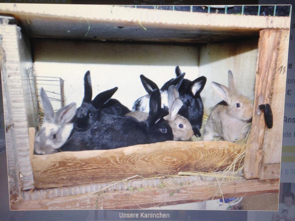Ferienwohnung Dietlinde Bad Blankenburg Cameră foto