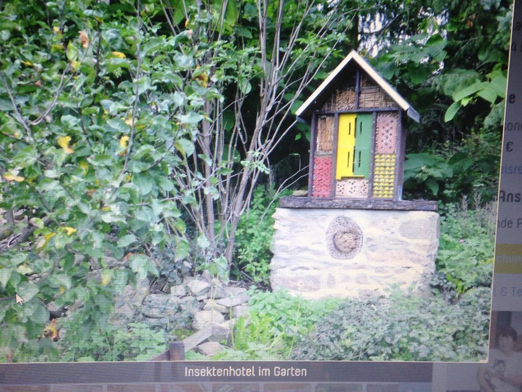 Ferienwohnung Dietlinde Bad Blankenburg Cameră foto